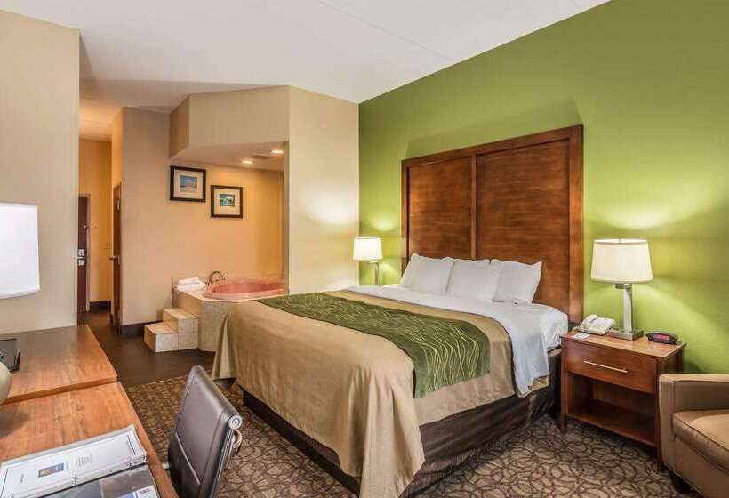 ホテル Comfort Inn & Suites Panama City North