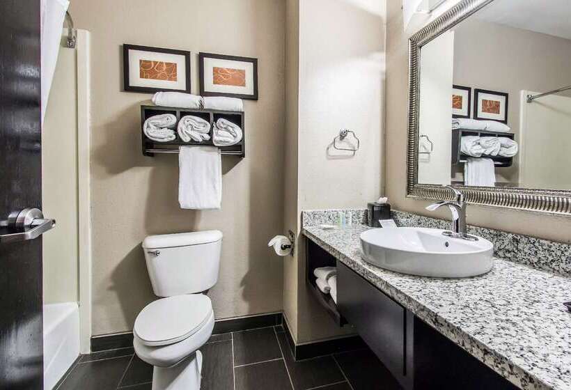 فندق Comfort Suites Fairgrounds West