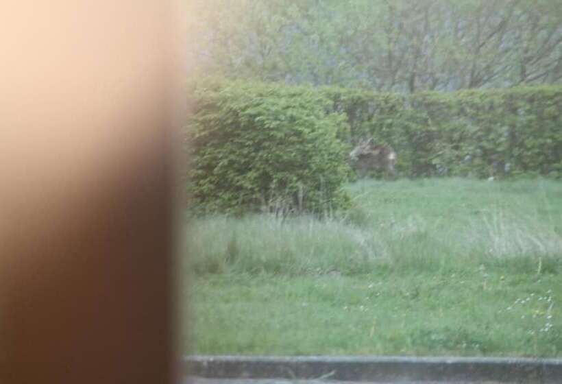 酒店 Hôtel Restaurant N 4