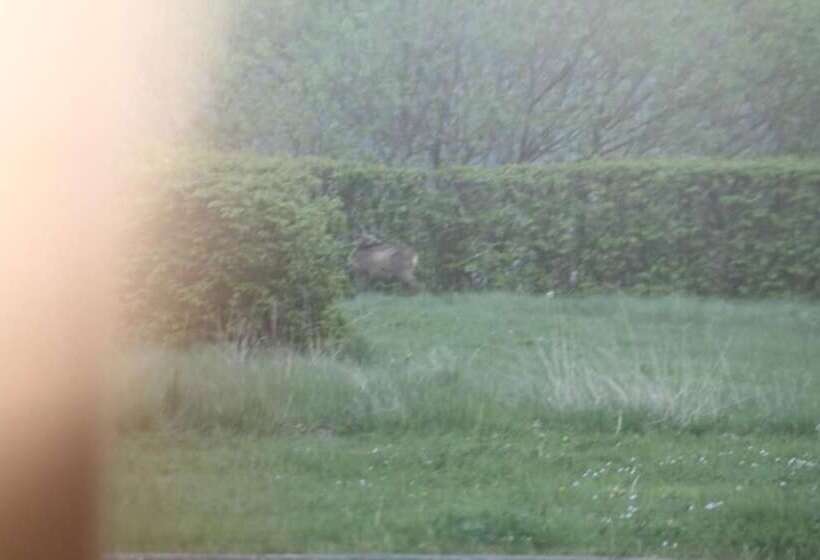 ホテル Hôtel Restaurant N 4