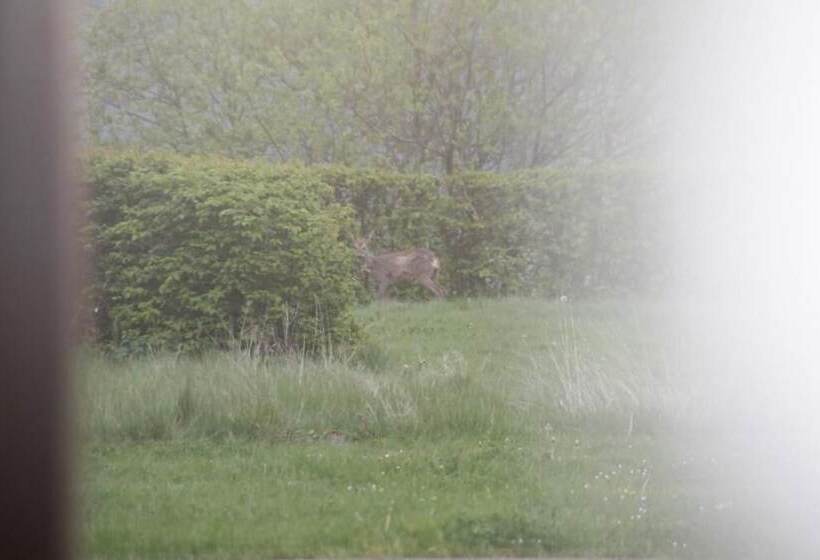 ホテル Hôtel Restaurant N 4