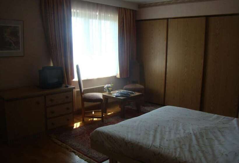 酒店 Hôtel Restaurant N 4