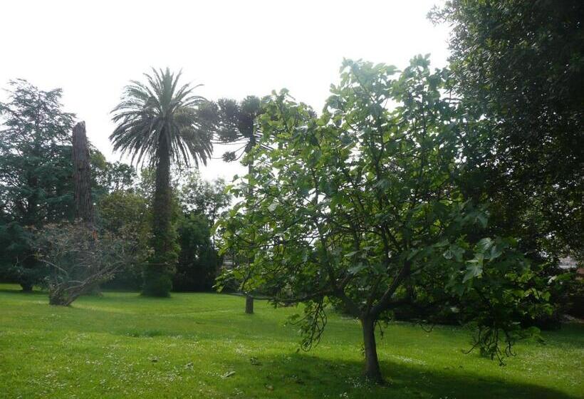 Отель Las Carolinas Garden