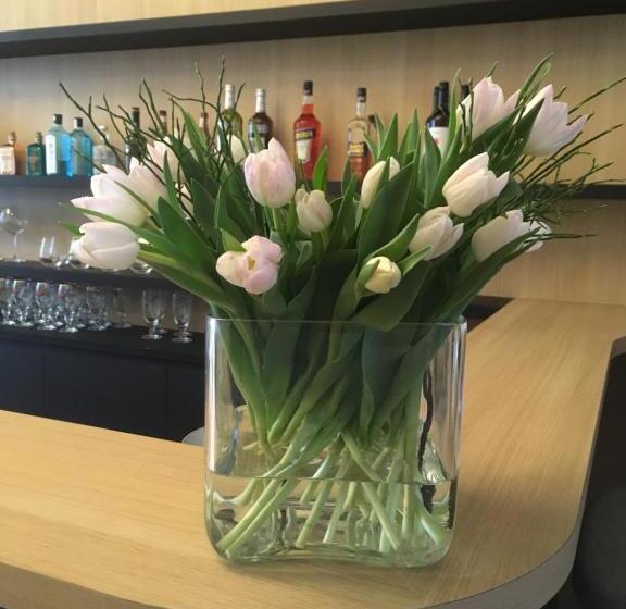 בית מלון כפרי Louisa