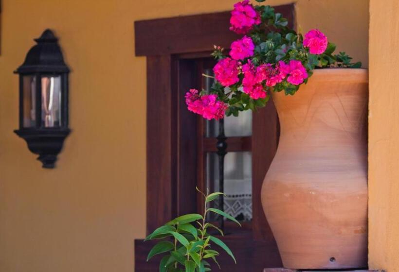 田舎風ホテル La Solana Montañesa