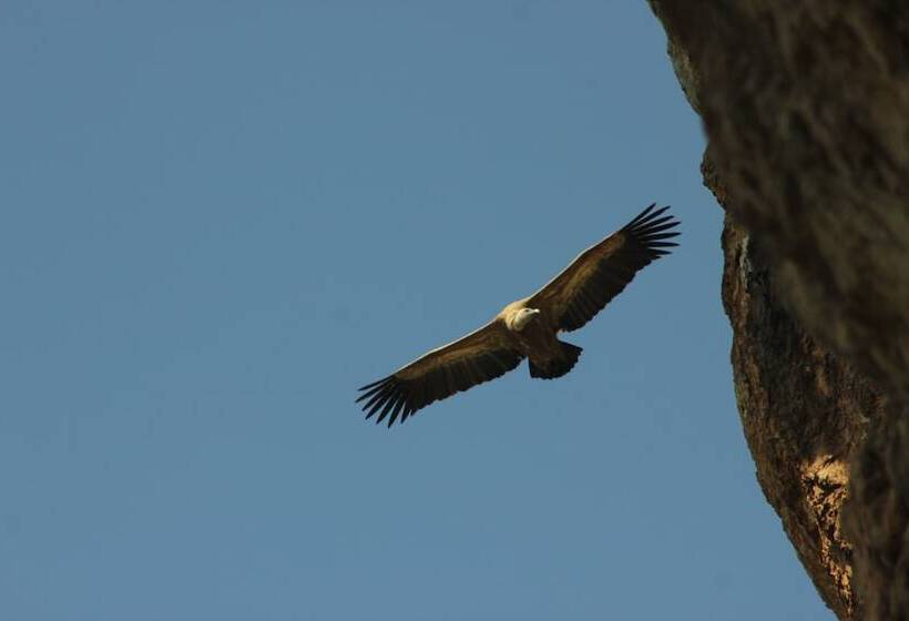 Сельский отель Posada De Uncastillo