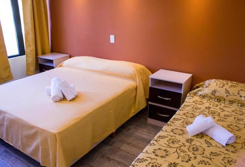 בית מלון כפרי San Remo New Viking