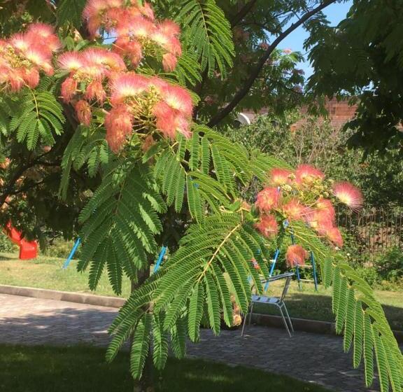 ホテル Sea Park Homes Neshkov