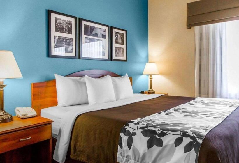 فندق Sleep Inn & Suites