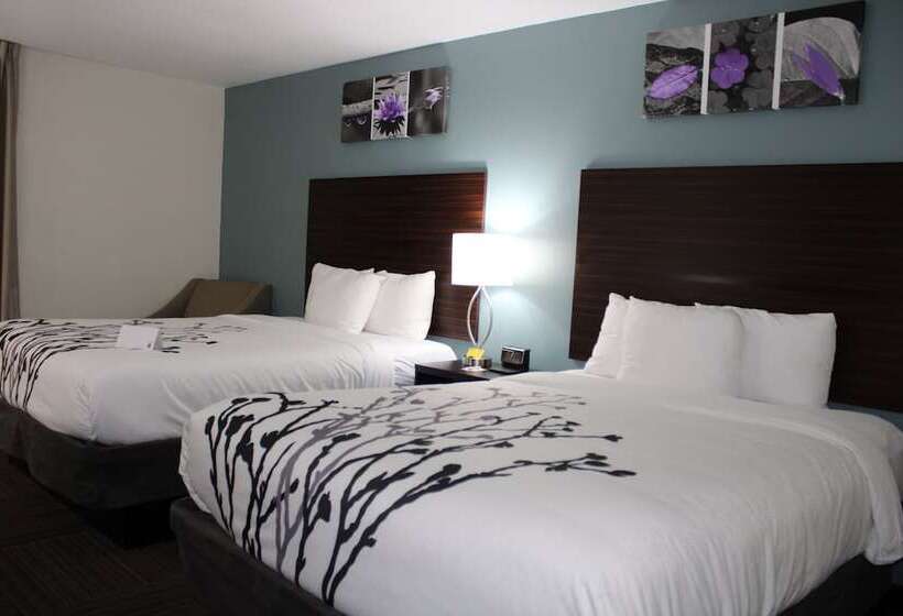 فندق Wingate By Wyndham Kings Bay Naval Base I 95