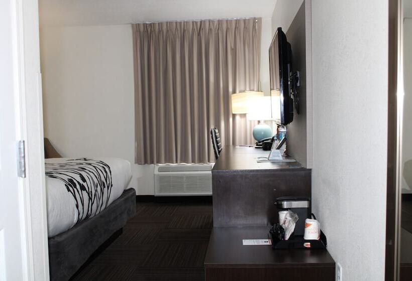 فندق Wingate By Wyndham Kings Bay Naval Base I 95