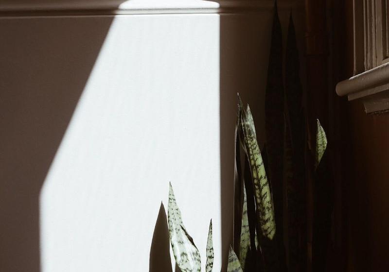 בית מלון כפרי The Jensen Potts Point