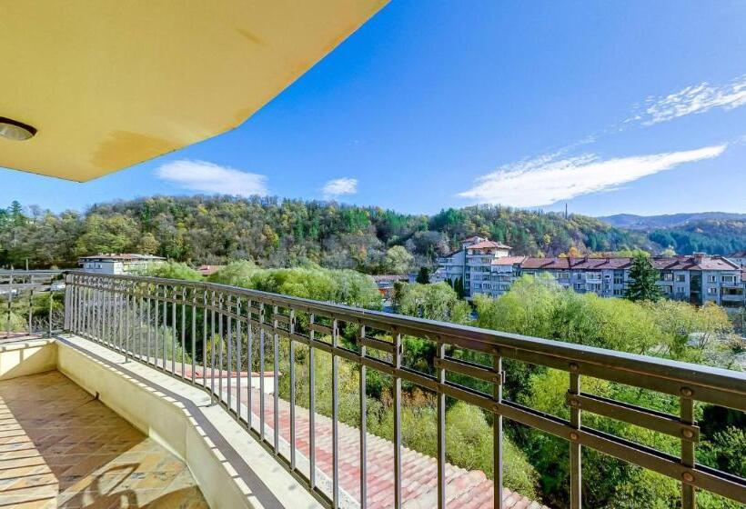 בית מלון כפרי Troyan Plaza