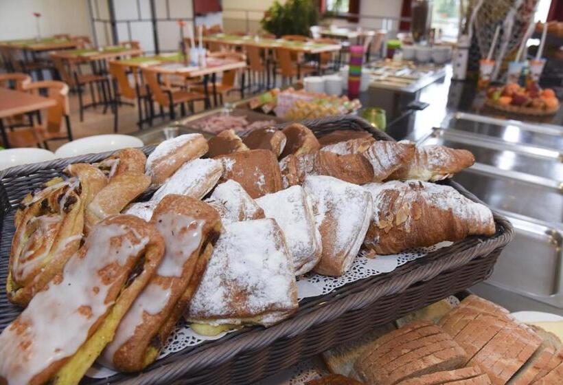 בית מלון כפרי Vakantiedomein Hoge Duin