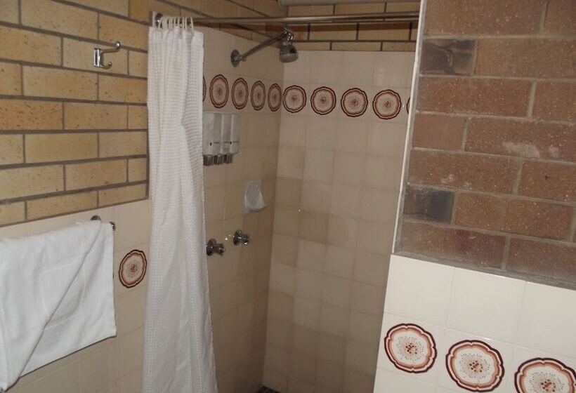 汽车旅馆  Bridge Street Motor Inn