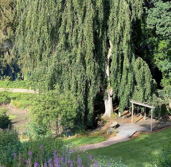 Parkhotel Villa Des Effats Vielsalm