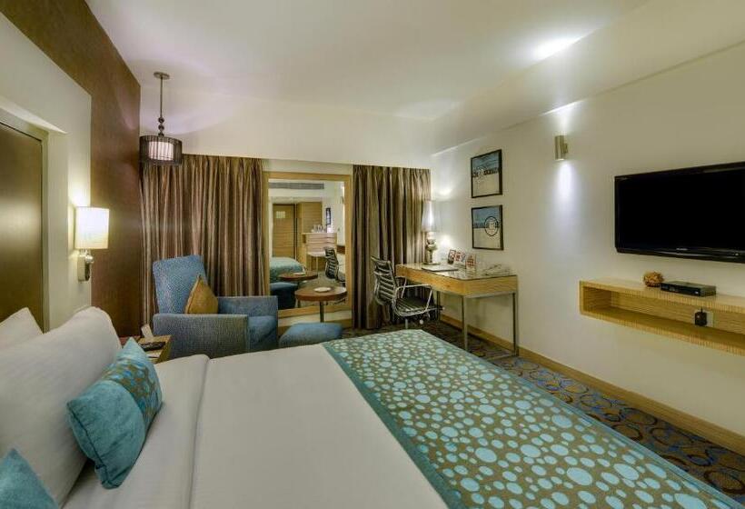 Pride Plaza Hotel, Ahmedabad