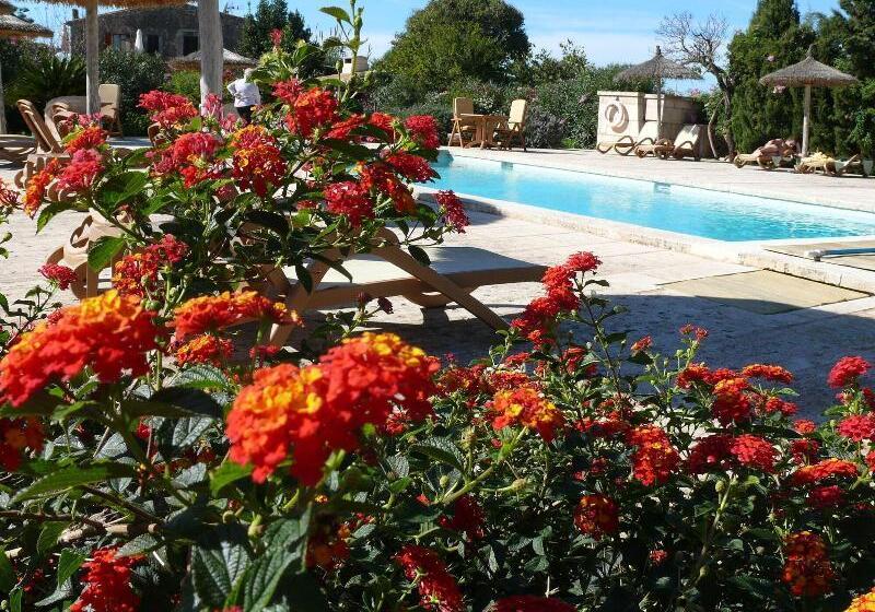 Sa Carrotja   Adults Only