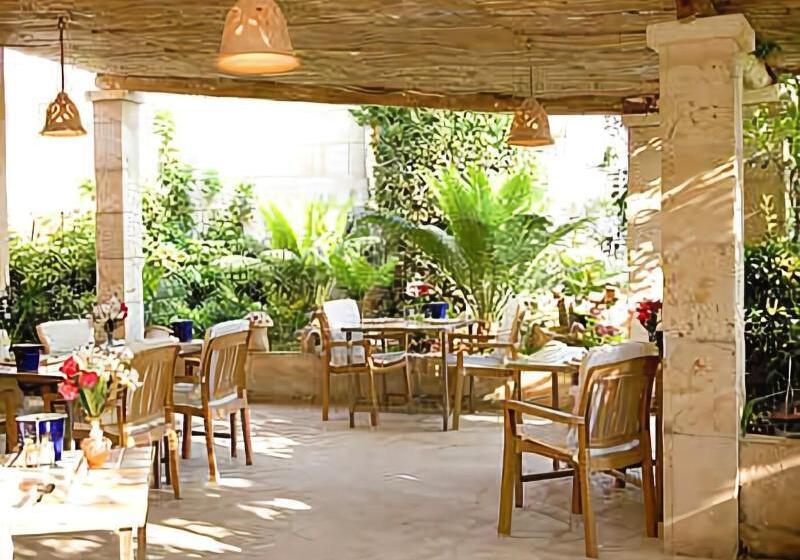 Sa Carrotja   Adults Only