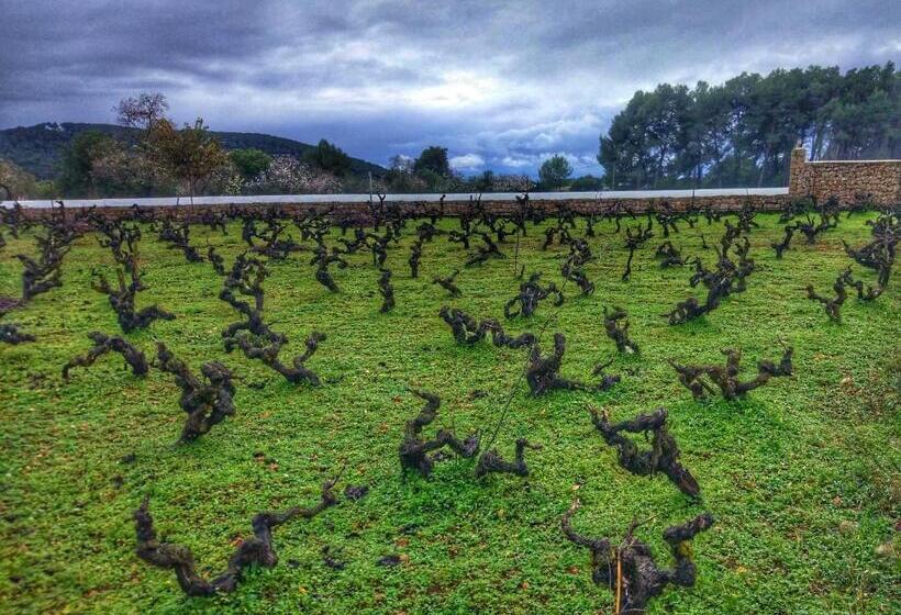 Agroturismo Sa Vinya D En Palerm