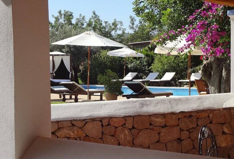 Agroturismo Sa Vinya D En Palerm