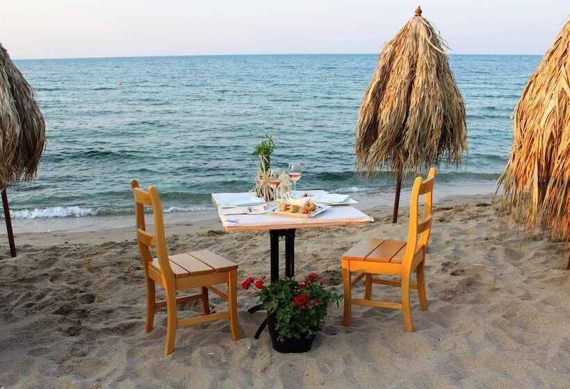 Selena Beach Family Hotel   All Inclusive Light