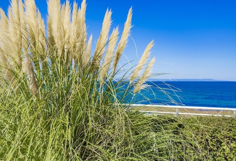 Selena Beach Family Hotel   All Inclusive Light