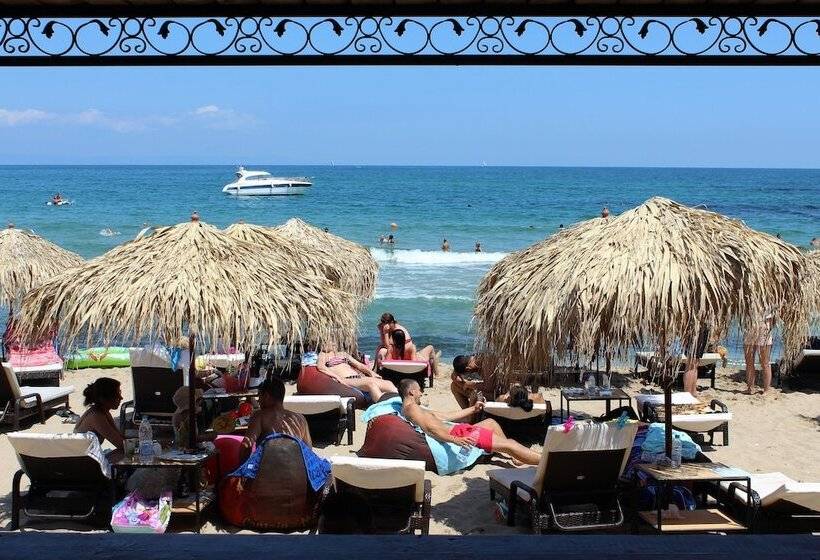 Selena Beach Family Hotel   All Inclusive Light