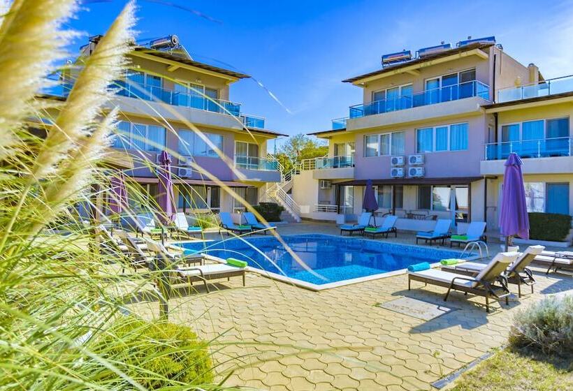 Selena Beach Family Hotel   All Inclusive Light