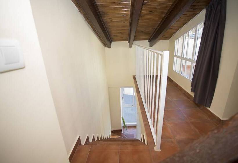 Singularstays Botánico29