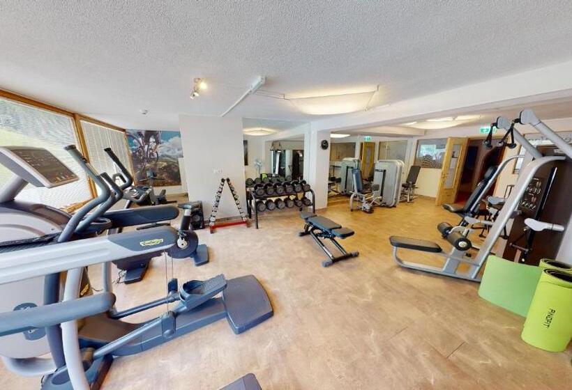 Wellness Aparthotel Panorama Alpin   Ferienwohnungen Jerzens Im Pitztal