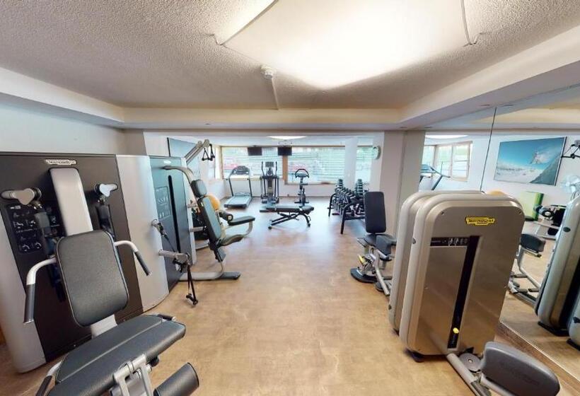 Wellness Aparthotel Panorama Alpin   Ferienwohnungen Jerzens Im Pitztal