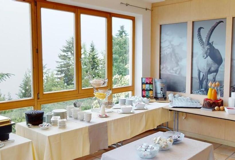 Wellness Aparthotel Panorama Alpin   Ferienwohnungen Jerzens Im Pitztal