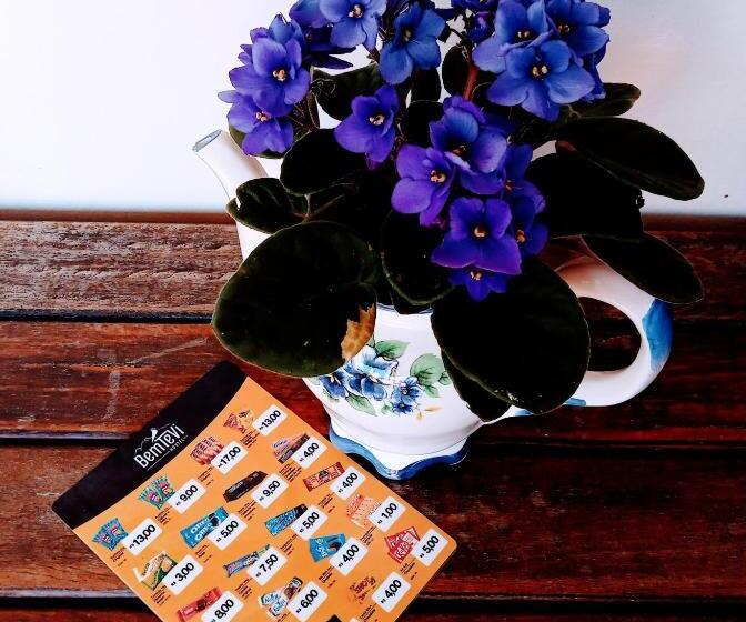 ユースホステル Pousada Bem Te Vi