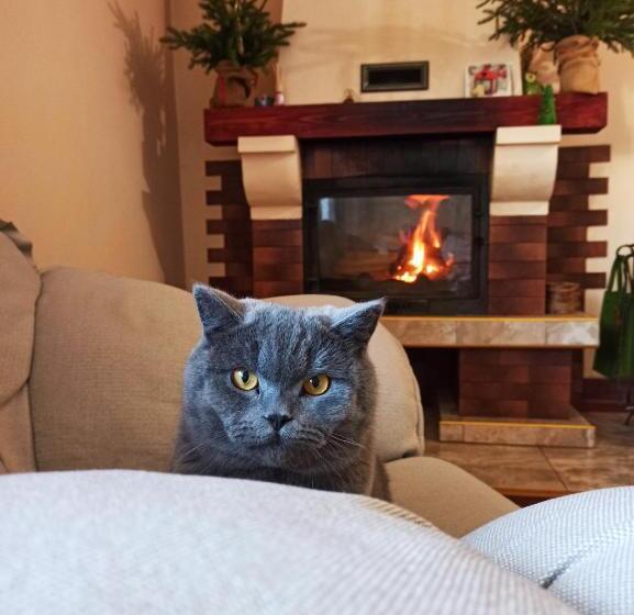 Bed and Breakfast гостьовий дім тая