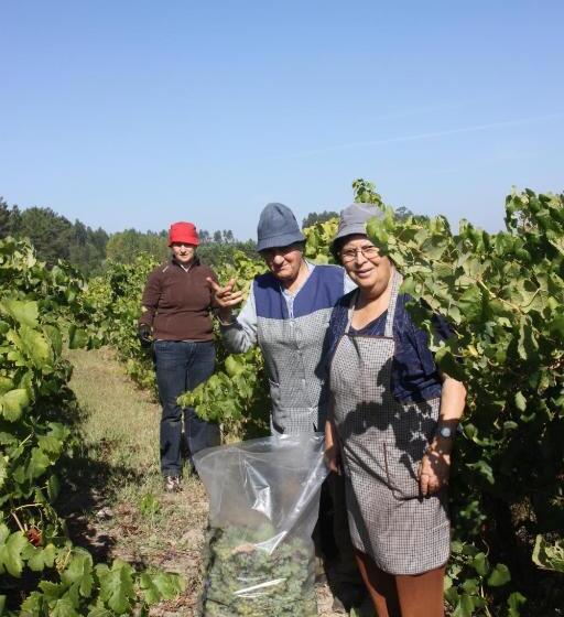 민박 Quinta No Pinhal