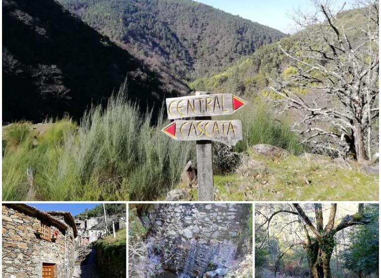 민박 Quinta No Pinhal