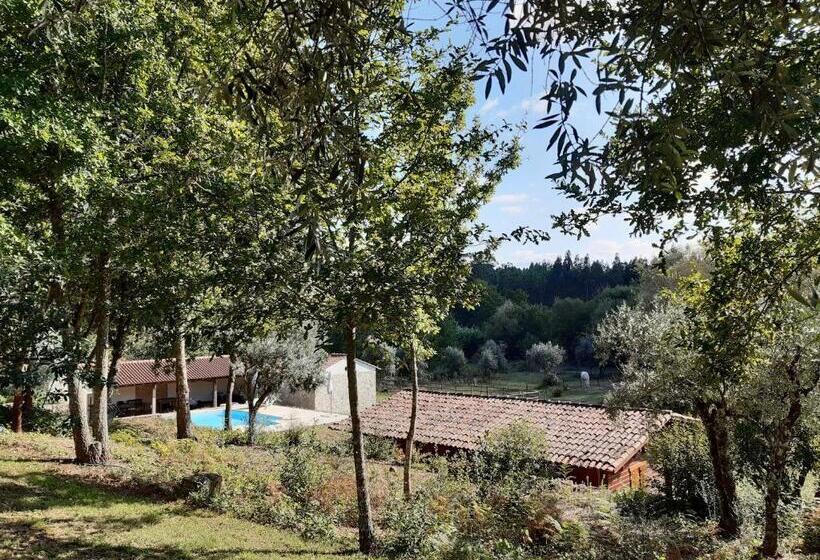 민박 Quinta No Pinhal