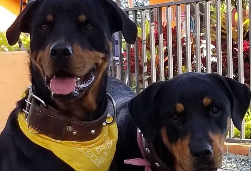 Finca Hotel Tierra Bella