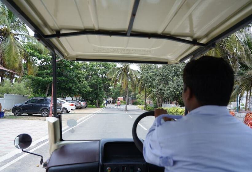 Отель Coral Beach Resort