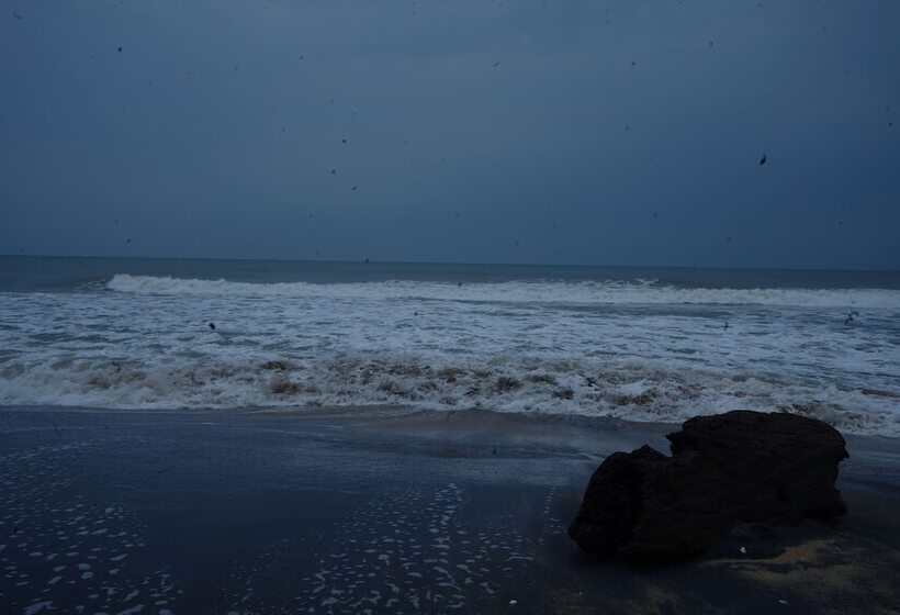 Отель Coral Beach Resort