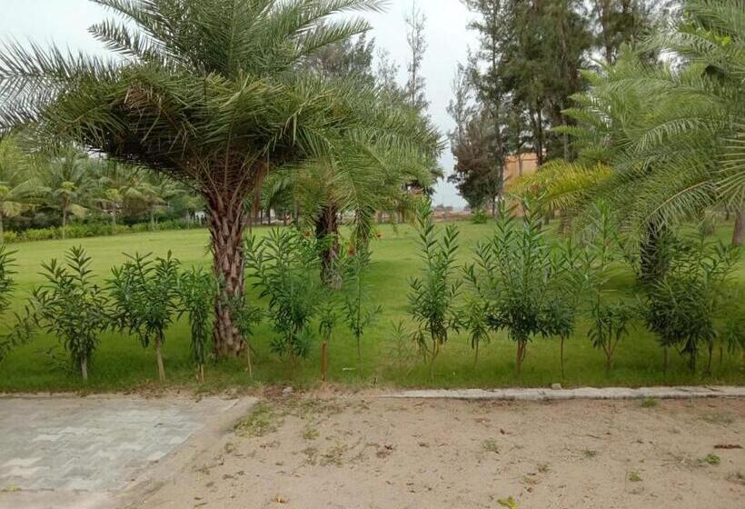 Отель Coral Beach Resort