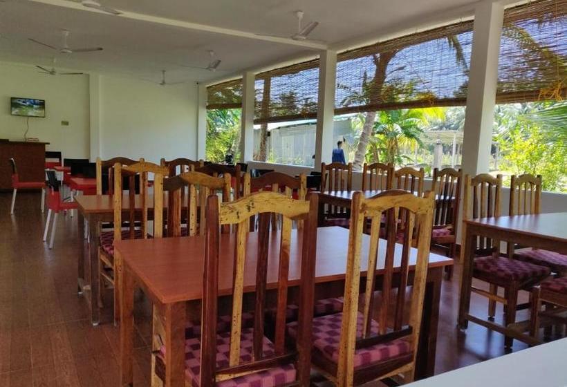 Hotel Exotica Squares