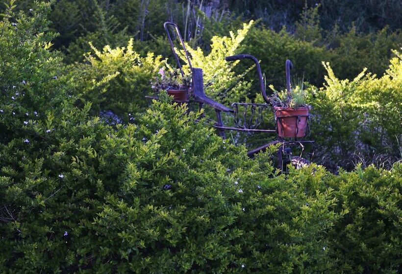 هتل Hacienda Turística Las Manolas