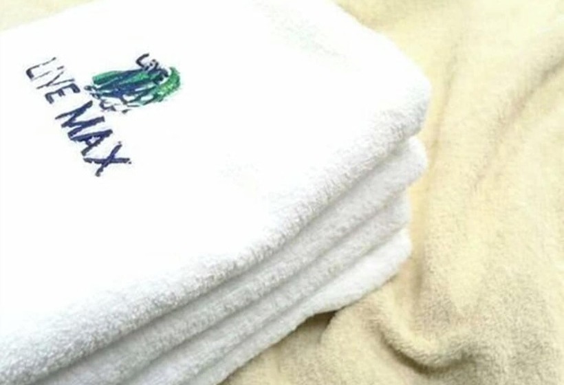 호텔 Livemax Okazaki