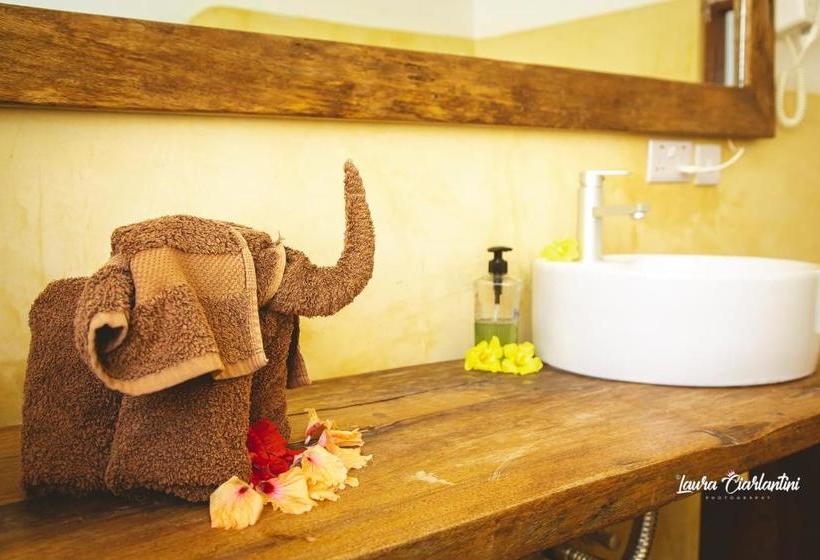 فندق Moonshine Uroa Dikoni Boutique