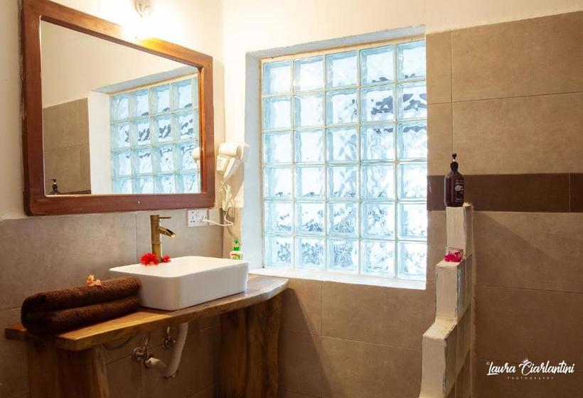 בית מלון כפרי Moonshine Uroa Dikoni Boutique