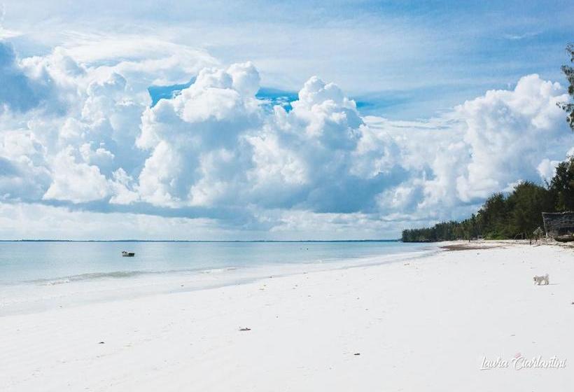 בית מלון כפרי Moonshine Uroa Dikoni Boutique