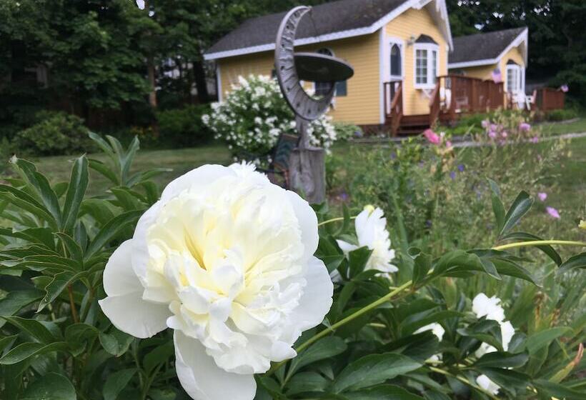 Отель Sand Bar Cottage Inn