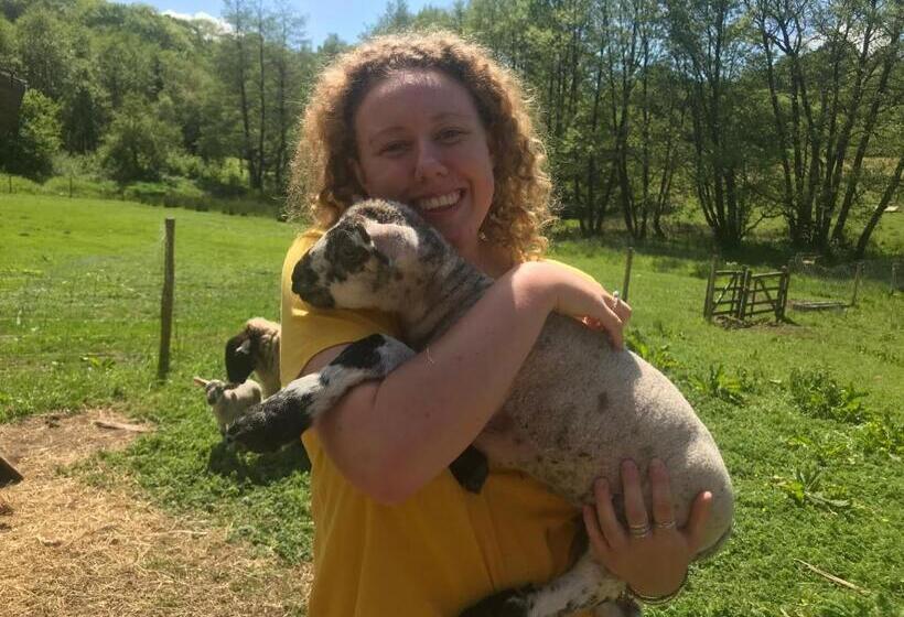 בית מלון כפרי Shepherds Huts Ham Hill, 2 Double Beds, Bathroom, Lounge, Diner, Kitchen, Love Dogs & Cats Looking O